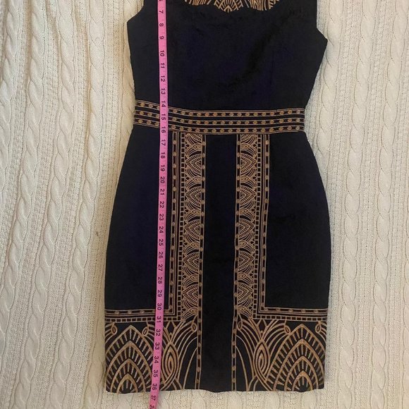 Navy Women Embroidered Mini Dress  (NWT) - Picture 8 of 16